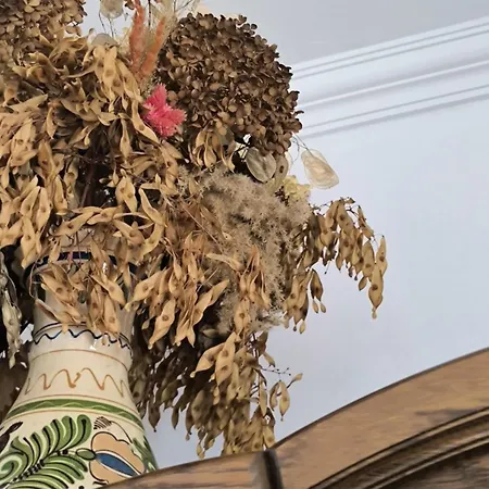 Erika Апартаменты *