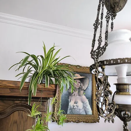 Apartamento Erika Tihany