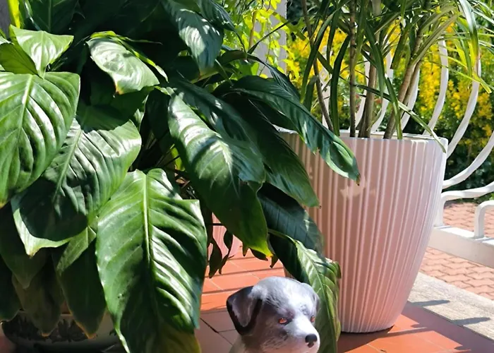 Appartamento Erika Tihany