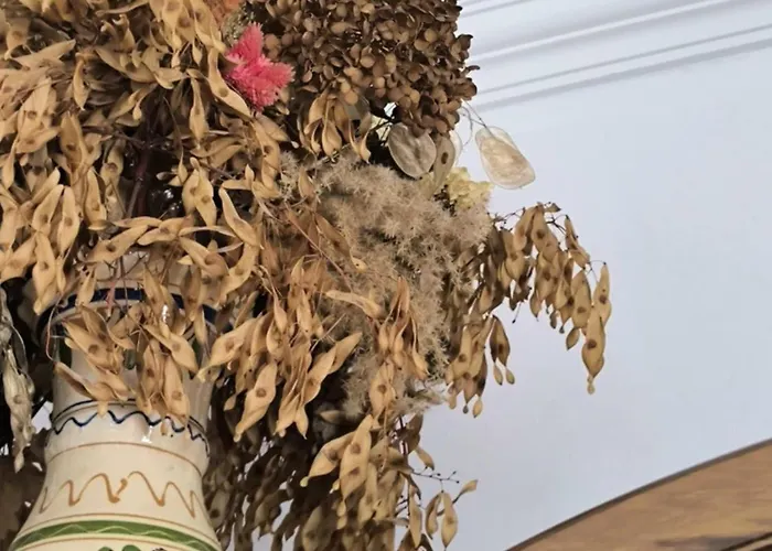 Erika Appartamento *